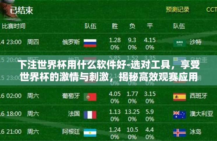 下注世界杯用什么软件好-选对工具，享受世界杯的激情与刺激，揭秘高效观赛应用
