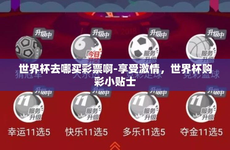 世界杯去哪买彩票啊-享受激情，世界杯购彩小贴士