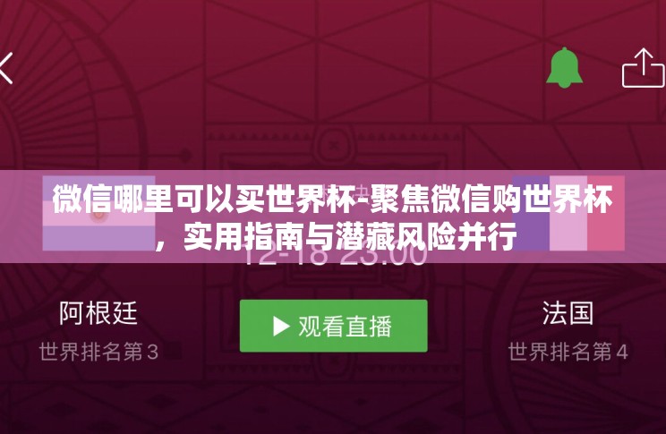 微信哪里可以买世界杯-聚焦微信购世界杯，实用指南与潜藏风险并行