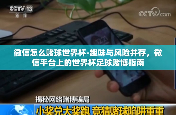 微信怎么赌球世界杯-趣味与风险并存，微信平台上的世界杯足球赌博指南