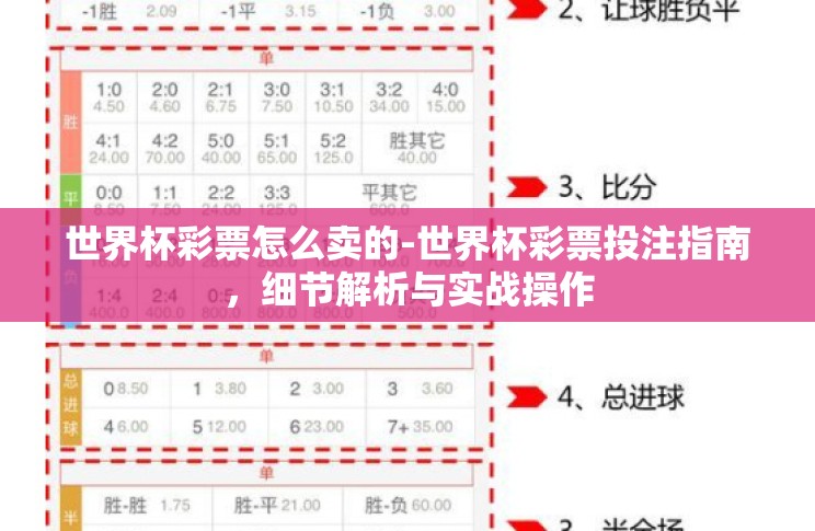 世界杯彩票怎么卖的-世界杯彩票投注指南，细节解析与实战操作