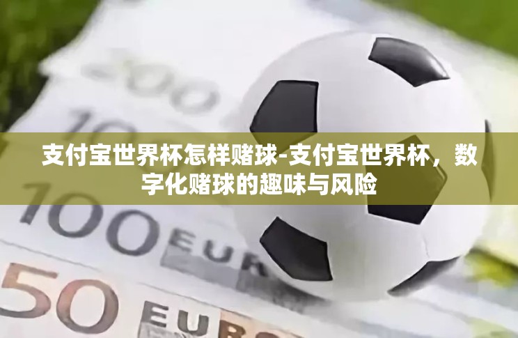 支付宝世界杯怎样赌球-支付宝世界杯，数字化赌球的趣味与风险
