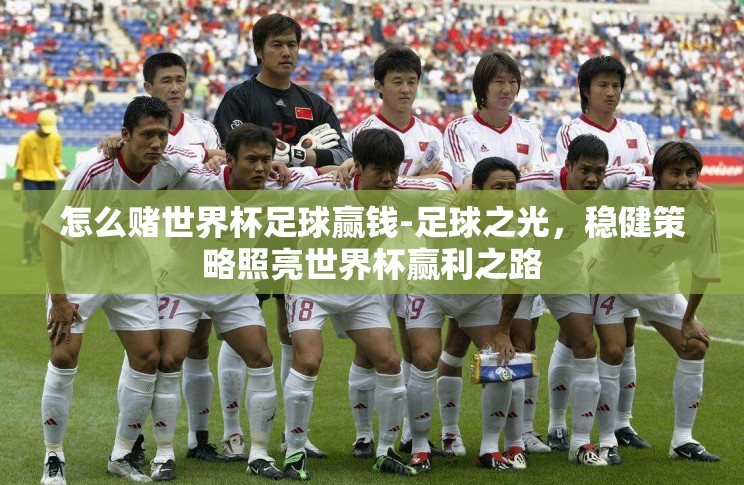 怎么赌世界杯足球赢钱-足球之光，稳健策略照亮世界杯赢利之路