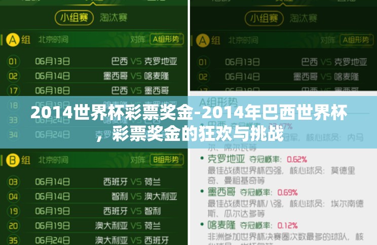 2014世界杯彩票奖金-2014年巴西世界杯,彩票奖金的狂欢与挑战 2014世界杯彩票奖金-2014年巴西世界杯,彩票奖金的狂欢与挑战
