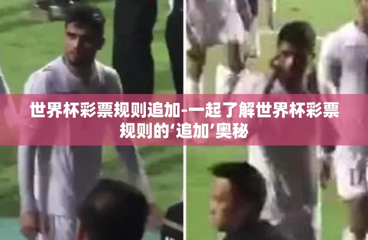 世界杯彩票规则追加-一起了解世界杯彩票规则的‘追加’奥秘 世界杯彩票规则追加-一起了解世界杯彩票规则的‘追加’奥秘