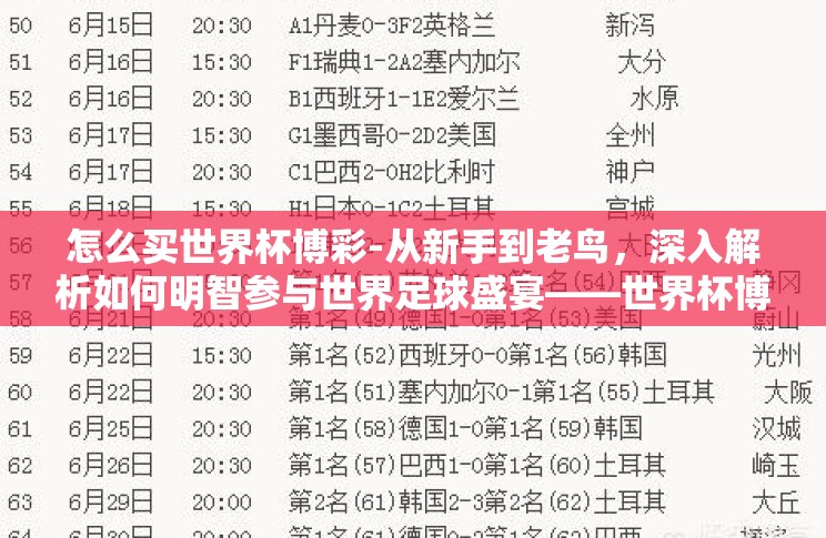 怎么买世界杯博彩-从新手到老鸟，深入解析如何明智参与世界足球盛宴——世界杯博彩的乐趣与风险