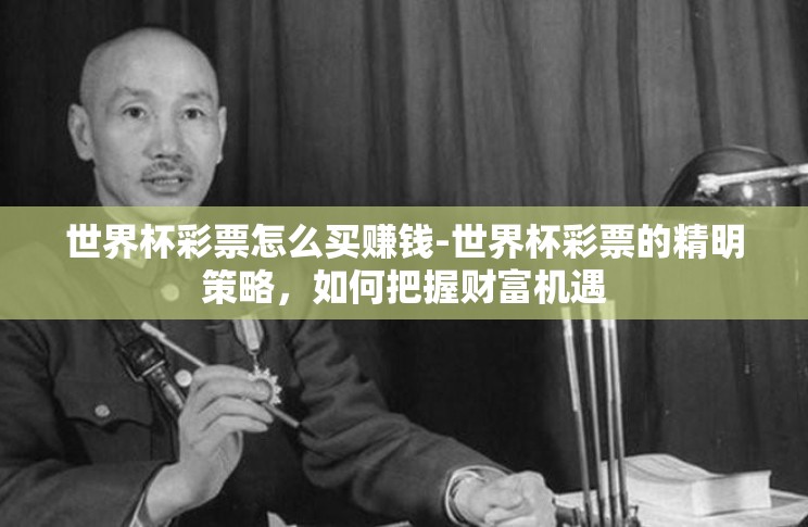 世界杯彩票怎么买赚钱-世界杯彩票的精明策略，如何把握财富机遇