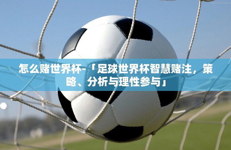怎么赌世界杯-「足球世界杯智慧赌注，策略、分析与理性参与」