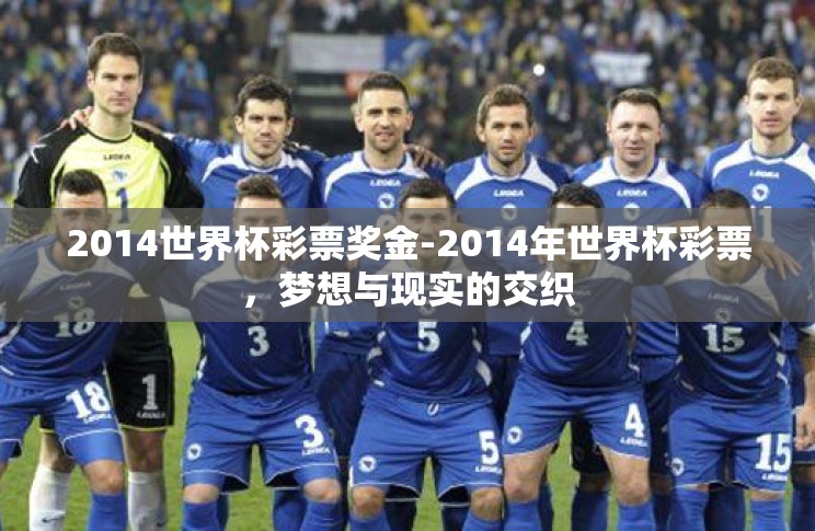 2014世界杯彩票奖金-2014年世界杯彩票，梦想与现实的交织