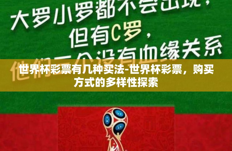 世界杯彩票有几种买法-世界杯彩票，购买方式的多样性探索