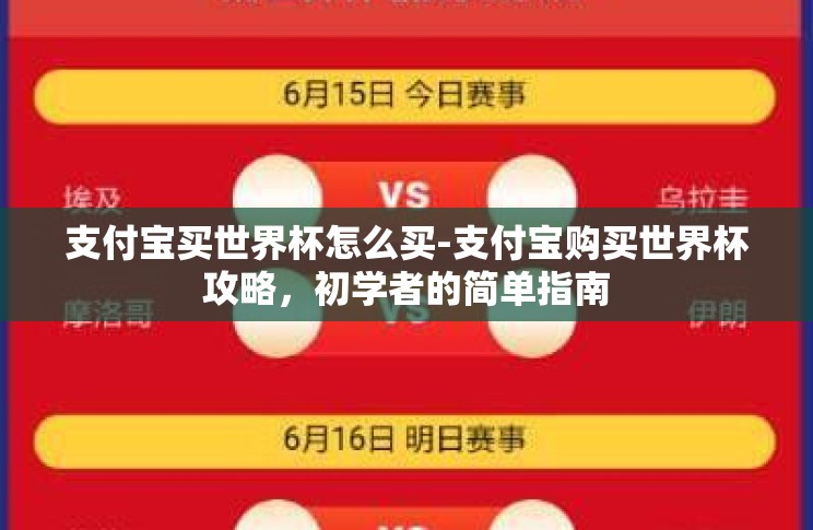 支付宝买世界杯怎么买-支付宝购买世界杯攻略，初学者的简单指南