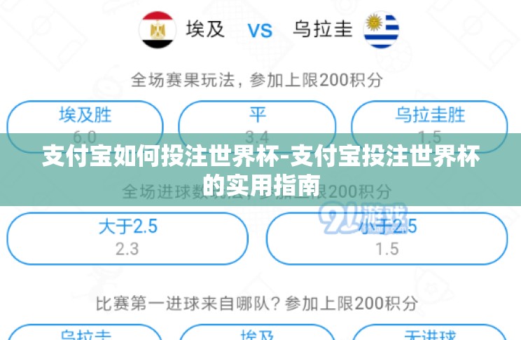 支付宝如何投注世界杯-支付宝投注世界杯的实用指南
