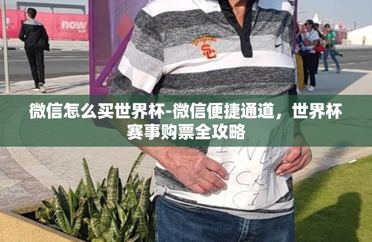 微信怎么买世界杯-微信便捷通道,世界杯赛事购票全攻略 微信怎么买世界杯-微信便捷通道,世界杯赛事购票全攻略