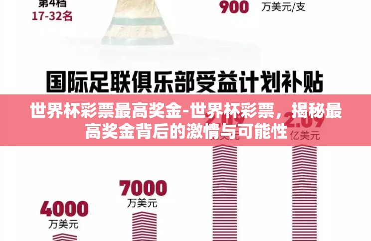 世界杯彩票最高奖金-世界杯彩票，揭秘最高奖金背后的激情与可能性