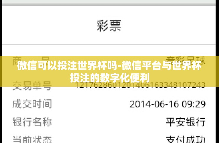微信可以投注世界杯吗-微信平台与世界杯投注的数字化便利