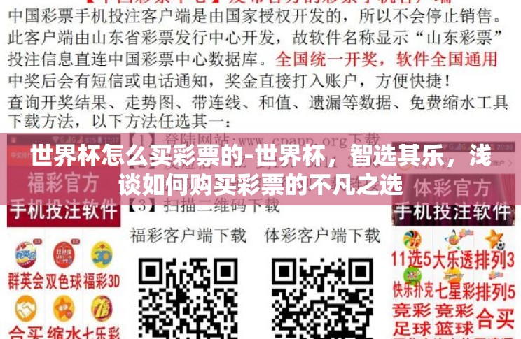 世界杯怎么买彩票的-世界杯，智选其乐，浅谈如何购买彩票的不凡之选