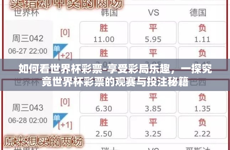 如何看世界杯彩票-享受彩局乐趣,一探究竟世界杯彩票的观赛与投注秘籍 如何看世界杯彩票-享受彩局乐趣,一探究竟世界杯彩票的观赛与投注秘籍