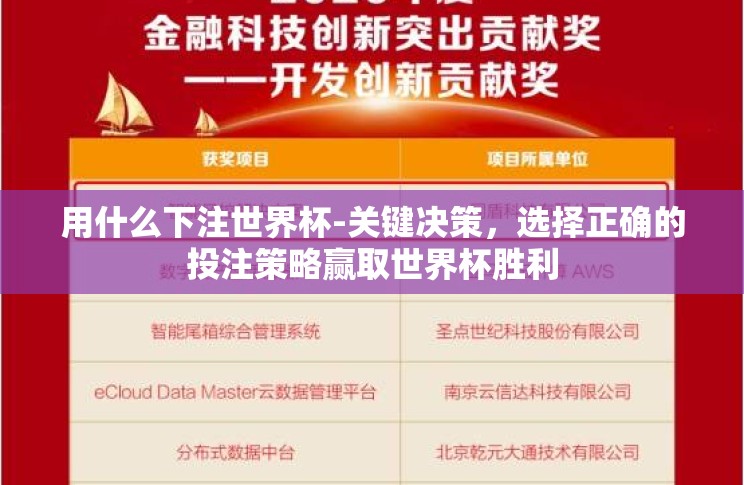 用什么下注世界杯-关键决策，选择正确的投注策略赢取世界杯胜利