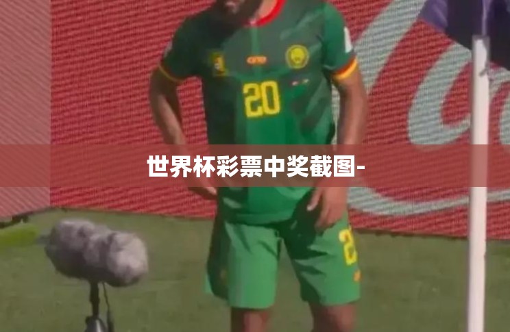 世界杯彩票中奖截图-