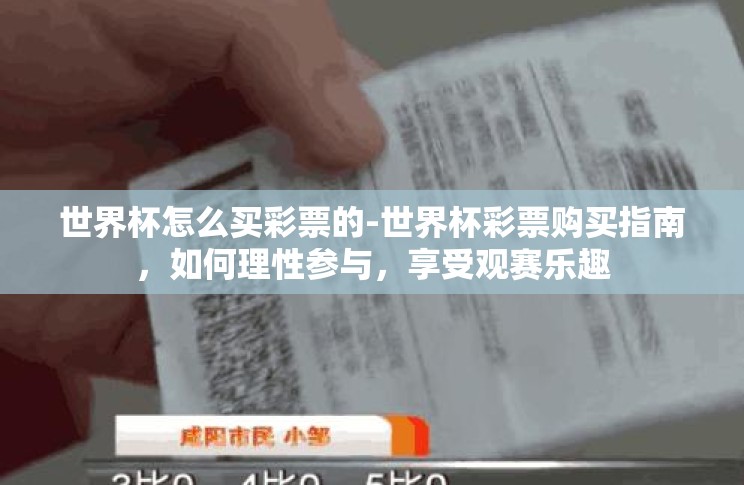 世界杯怎么买彩票的-世界杯彩票购买指南，如何理性参与，享受观赛乐趣