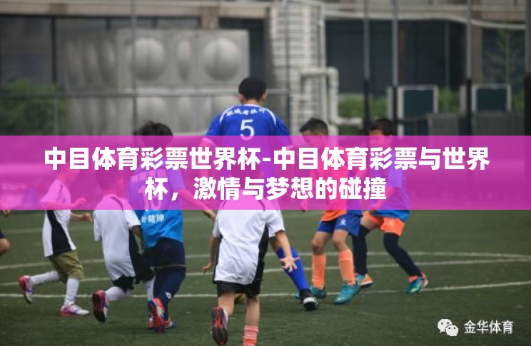 中目体育彩票世界杯-中目体育彩票与世界杯，激情与梦想的碰撞
