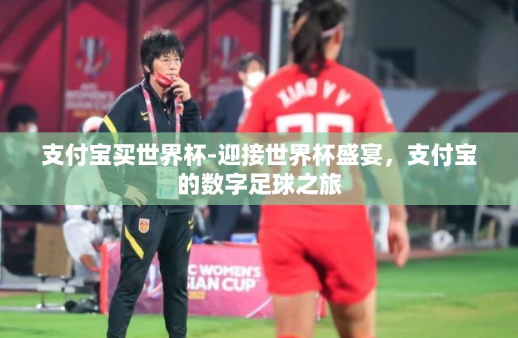 支付宝买世界杯-迎接世界杯盛宴,支付宝的数字足球之旅 支付宝买世界杯-迎接世界杯盛宴,支付宝的数字足球之旅