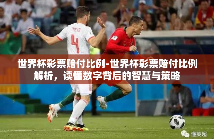 世界杯彩票赔付比例-世界杯彩票赔付比例解析,读懂数字背后的智慧与策略 世界杯彩票赔付比例-世界杯彩票赔付比例解析,读懂数字背后的智慧与策略