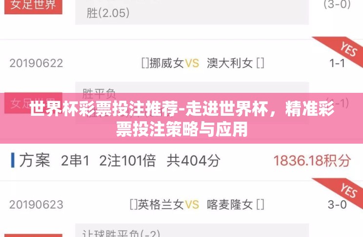 世界杯彩票投注推荐-走进世界杯，精准彩票投注策略与应用