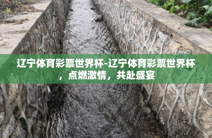 辽宁体育彩票世界杯-辽宁体育彩票世界杯,点燃激情,共赴盛宴 辽宁体育彩票世界杯-辽宁体育彩票世界杯,点燃激情,共赴盛宴