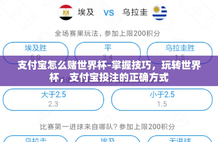 支付宝怎么赌世界杯-掌握技巧，玩转世界杯，支付宝投注的正确方式