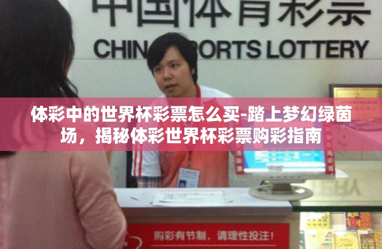 体彩中的世界杯彩票怎么买-踏上梦幻绿茵场，揭秘体彩世界杯彩票购彩指南