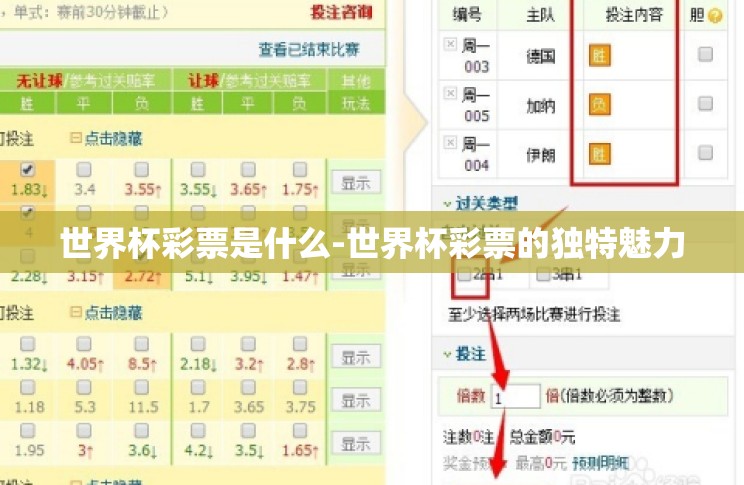 世界杯彩票是什么-世界杯彩票的独特魅力 世界杯彩票是什么-世界杯彩票的独特魅力