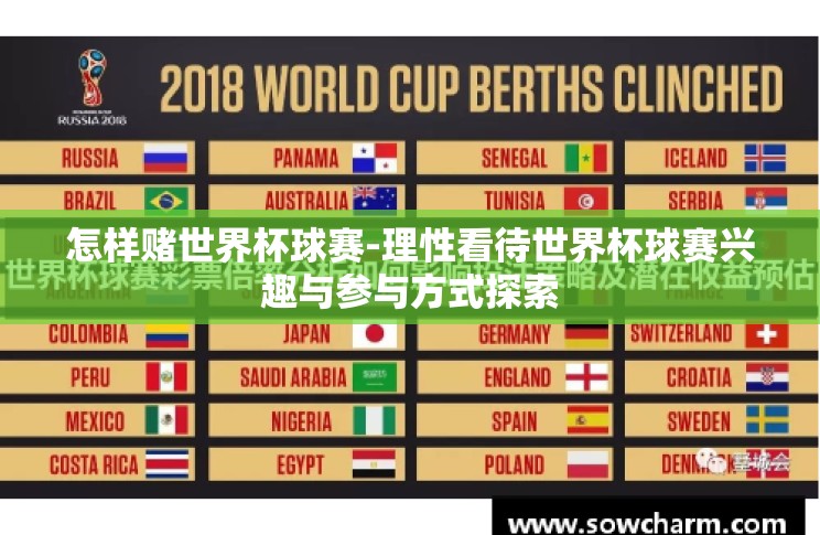 怎样赌世界杯球赛-理性看待世界杯球赛兴趣与参与方式探索 怎样赌世界杯球赛-理性看待世界杯球赛兴趣与参与方式探索